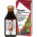 Floradix Liquid Iron Formula